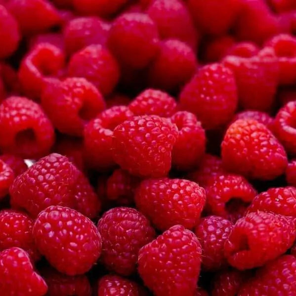 Raspberries – Frozen
