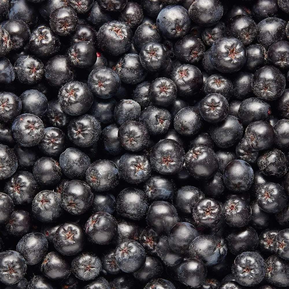 Aronia Berries – Frozen
