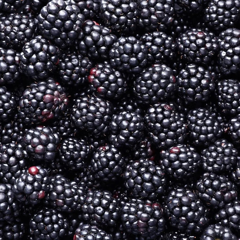 Blackberries – Frozen