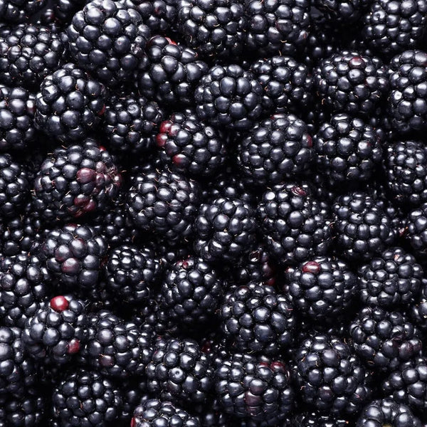 Blackberries – Frozen