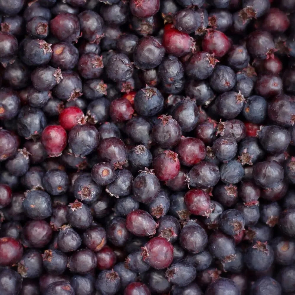 Saskatoon Berries – Frozen