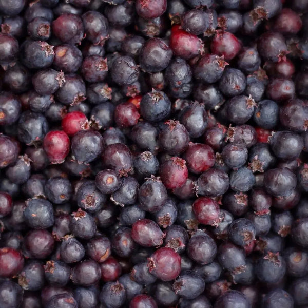 Saskatoon Berries – Frozen